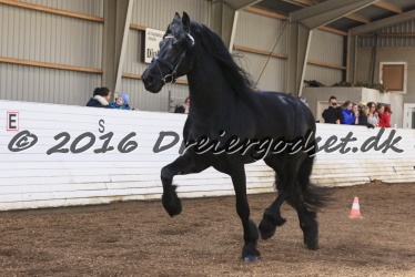 Sponk fra Overby 056