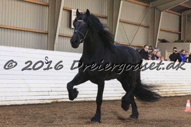 Sponk fra Overby 057