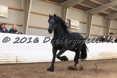 Sponk fra Overby 058
