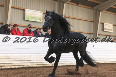 Sponk fra Overby 059