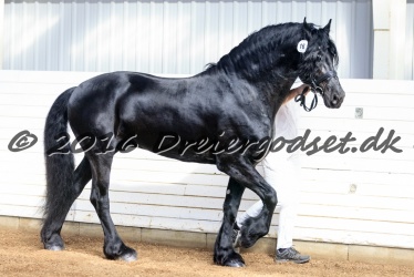 Sponk fra Overby 061