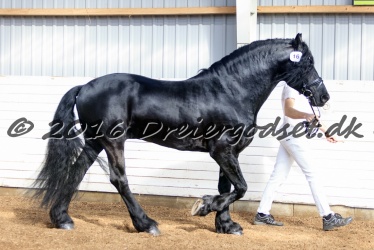 Sponk fra Overby 062