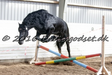 Sponk fra Overby 066