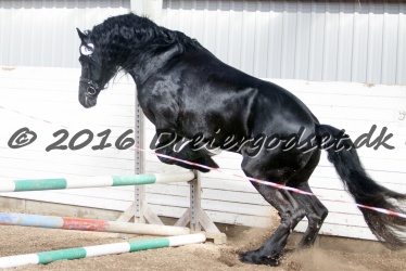 Sponk fra Overby 067