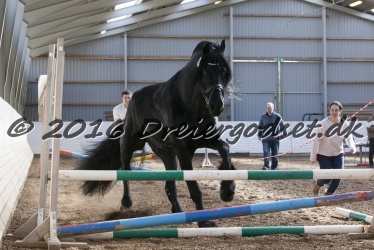 Sponk fra Overby 068