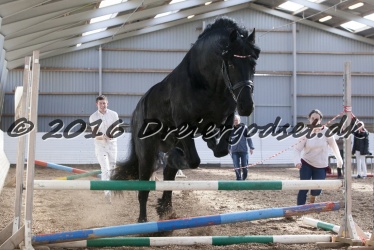 Sponk fra Overby 069