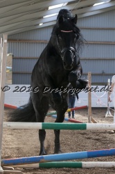 Sponk fra Overby 071
