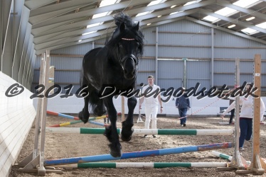 Sponk fra Overby 072