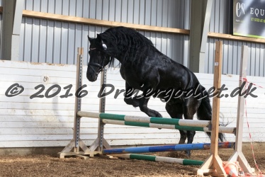 Sponk fra Overby 074