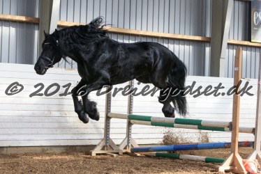 Sponk fra Overby 075