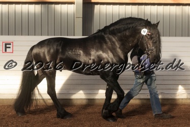 Sponk fra Overby 077