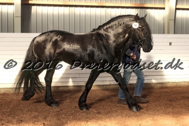 Sponk fra Overby 078