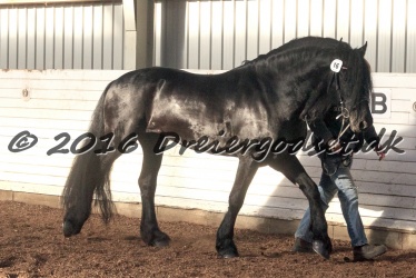 Sponk fra Overby 079