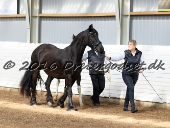 Alfredo von Diego 001