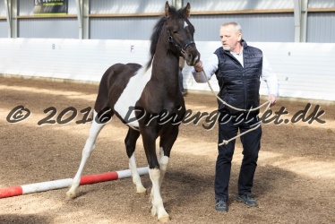 Alfredo von Diego 002