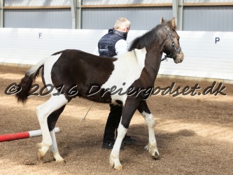 Alfredo von Diego 003