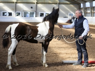 Alfredo von Diego 004