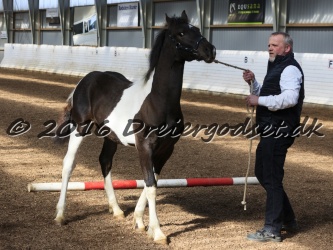 Alfredo von Diego 006