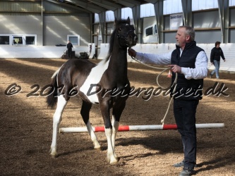 Alfredo von Diego 007