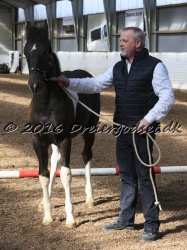 Alfredo von Diego 008