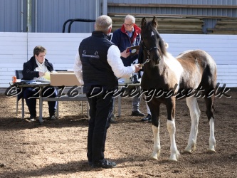 Alfredo von Diego 010