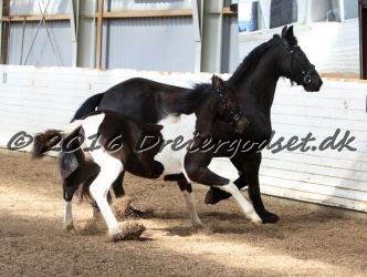 Alfredo von Diego 015