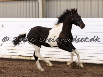 Alfredo von Diego 020