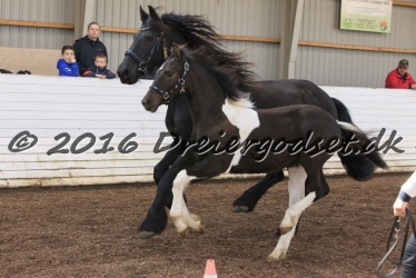 Alfredo von Diego 022