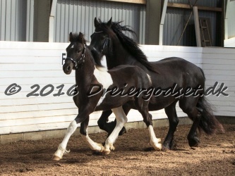 Alfredo von Diego 023