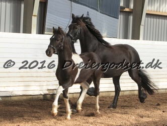 Alfredo von Diego 025