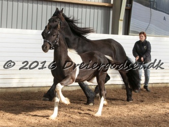 Alfredo von Diego 027