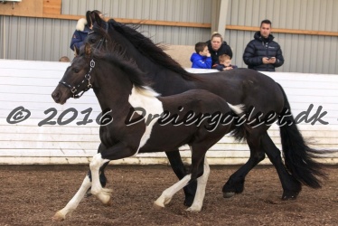 Alfredo von Diego 035