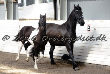 Alfredo von Diego 040