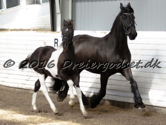 Alfredo von Diego 041