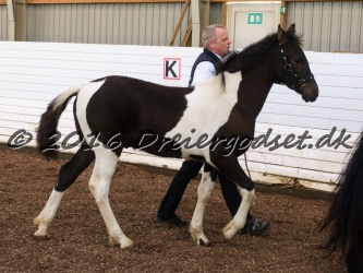 Alfredo von Diego 044