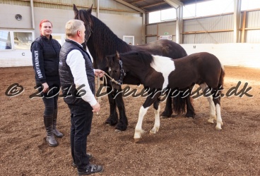 Alfredo von Diego 045