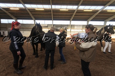 Alfredo von Diego 047