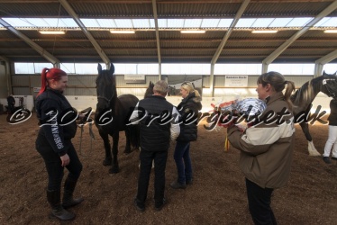 Alfredo von Diego 048