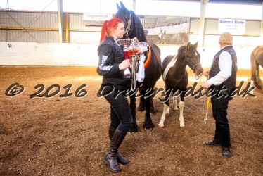 Alfredo von Diego 052