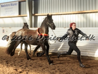 Alfredo von Diego 053