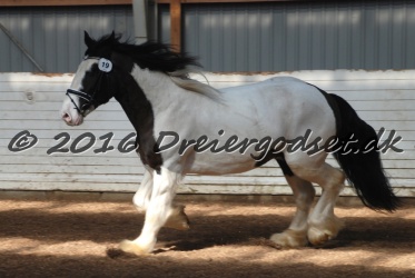Cesar Arenlund 010