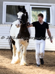 Cesar Arenlund 021