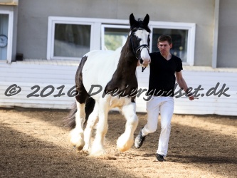 Cesar Arenlund 022