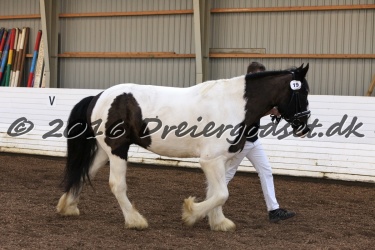 Cesar Arenlund 024