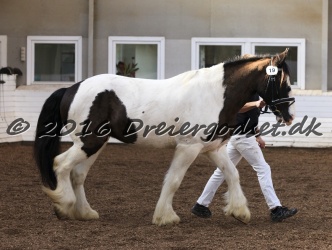 Cesar Arenlund 025