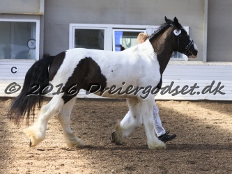 Cesar Arenlund 026