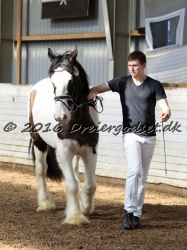 Cesar Arenlund 027