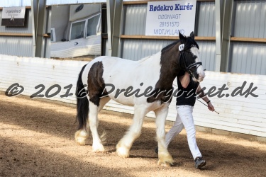 Cesar Arenlund 028