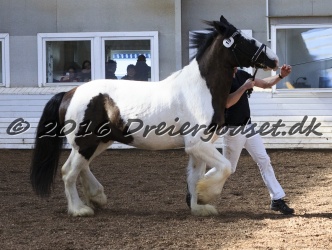 Cesar Arenlund 029