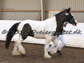 Cesar Arenlund 031